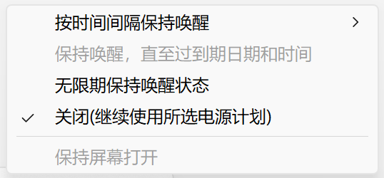 截图显示了一个设置菜单,包含关于保持设备唤醒的选项,包括按时间间隔唤醒、无限期唤醒以及关闭唤醒功能。 {tag:screenshot, menu, settings} (由 AI 生成标题)|538x250